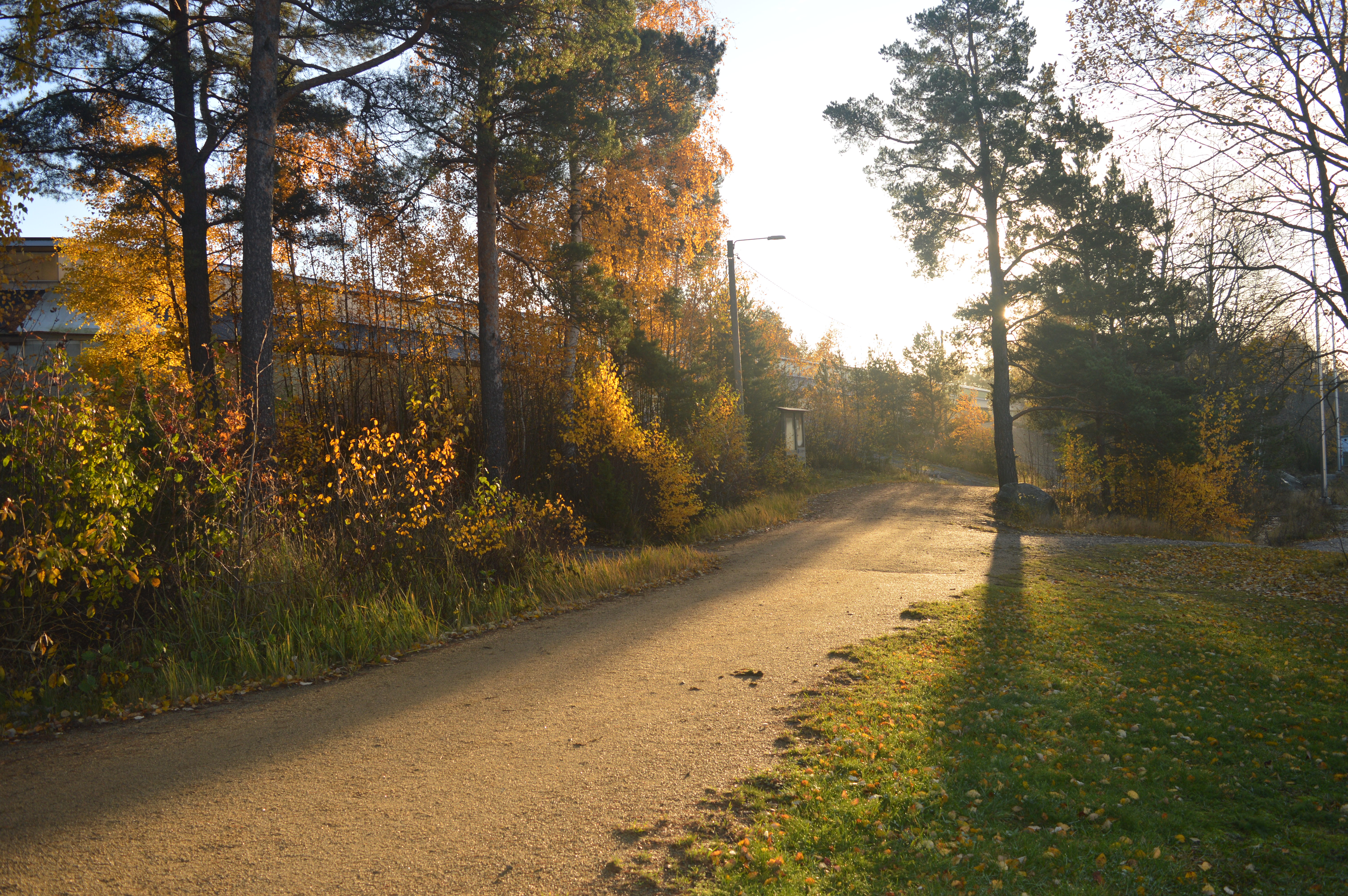 syksyinen pururata