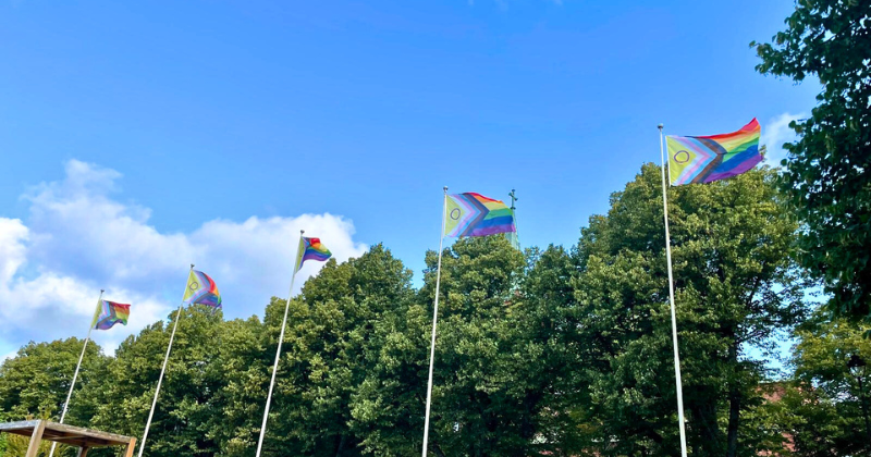 Pride-liputus Uudessakaupungissa 25.6.2025 pride-liput liehuvat kesäisessä säässä viidessä lipputangossa. Taustalla taivasta ja vihreitä puita.